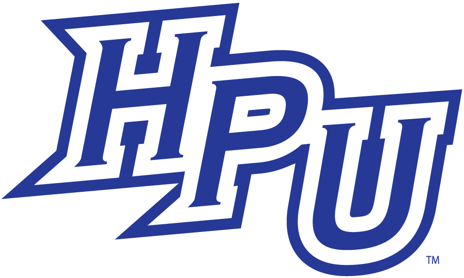 High Point Panthers 2004-2011 Alternate Logo 03 iron on paper